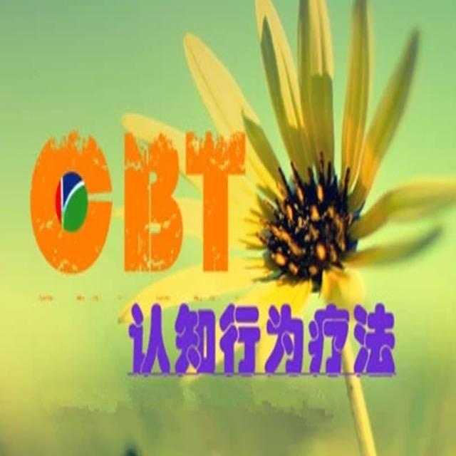 华大心理-认知行为（CBT）-第6期